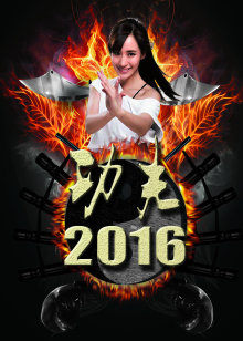 功夫2016(全集)