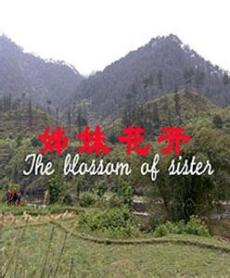 姊妹花开(全集)