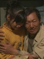 丁家兄弟(全集)