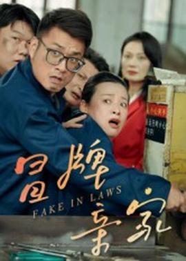 冒牌亲家(全集)